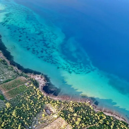 Triple Barbat 5070b بيت ضيافة