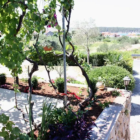 Triple Barbat 5070b Barbat na Rabu