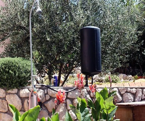 Triple Barbat 5070b Barbat na Rabu