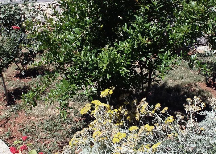 Triple Barbat 5070b 게스트하우스