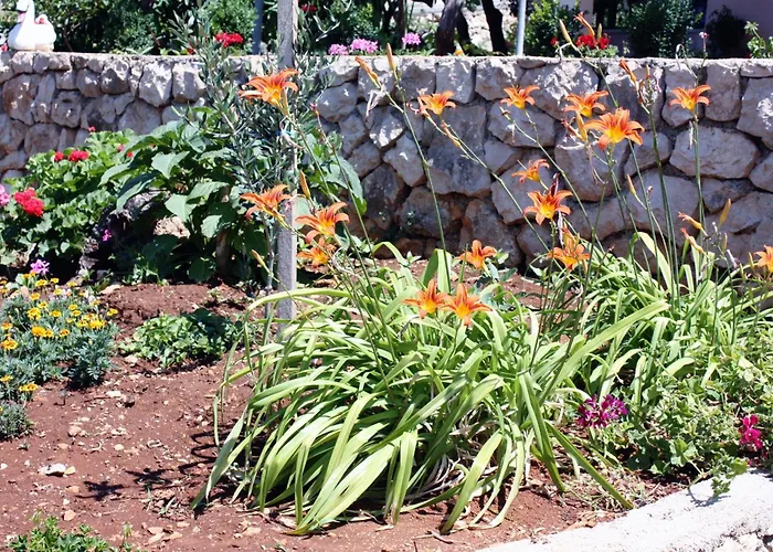 게스트하우스 Triple Barbat 5070b Barbat na Rabu