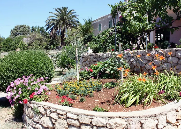 Triple Barbat 5070b 게스트하우스